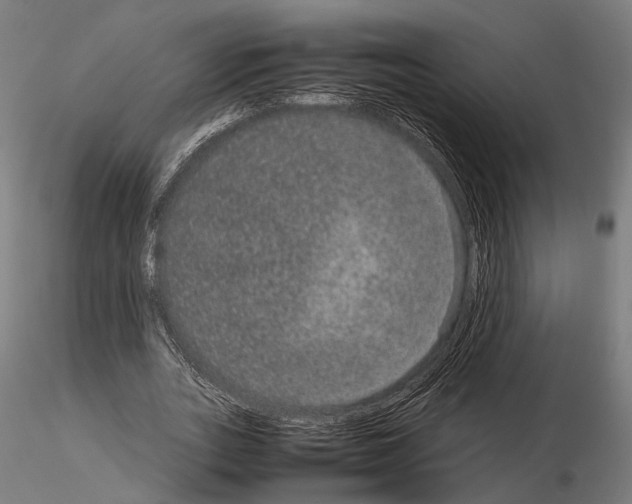 X0000115120727200912081343