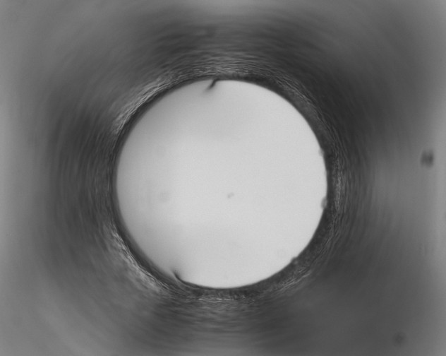 X0000115120729200912081343