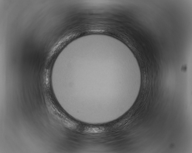 X0000115120731200912081343