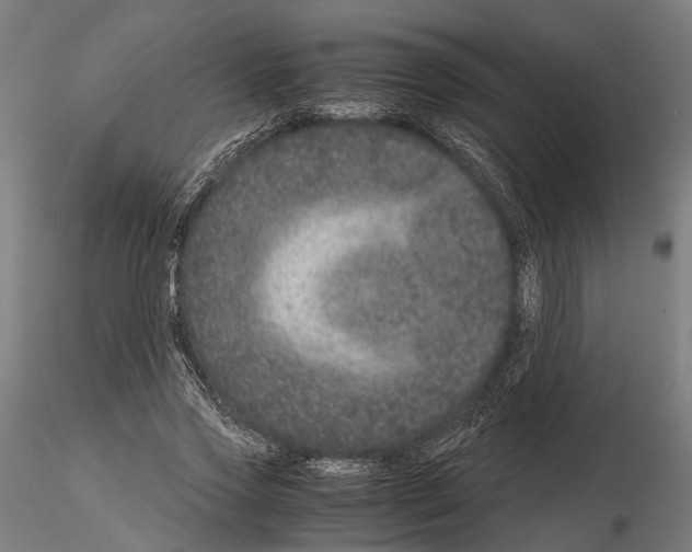 X0000115120733200912081344