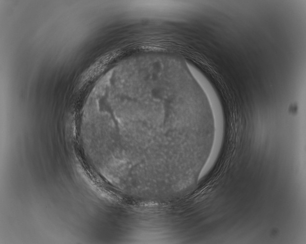 X0000115120734200912081344