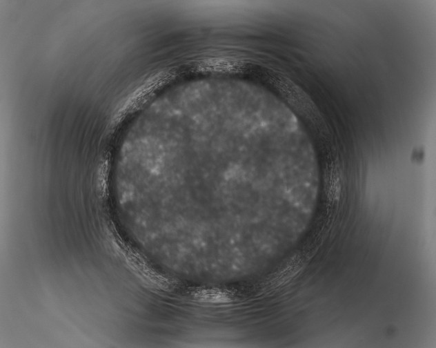 X0000115120735200912081344