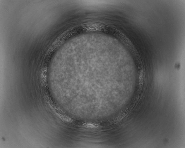 X0000115120737200912081344