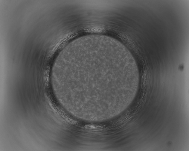 X0000115120739200912081344