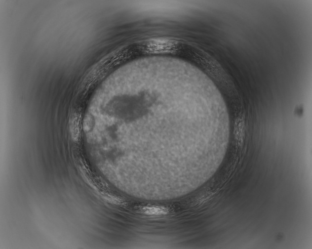 X0000115120741200912081344