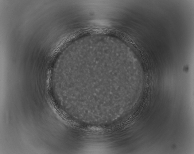 X0000115120742200912081344