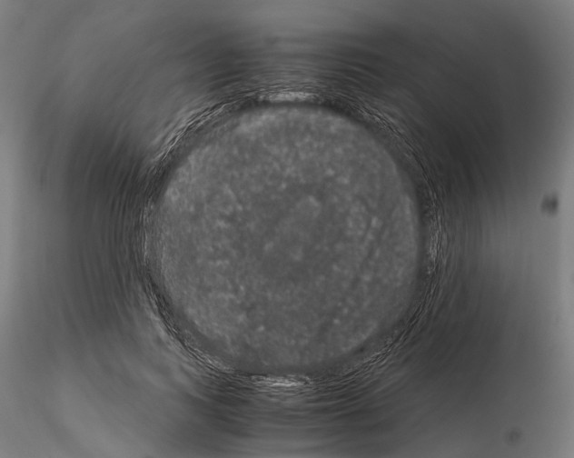 X0000115120743200912081344