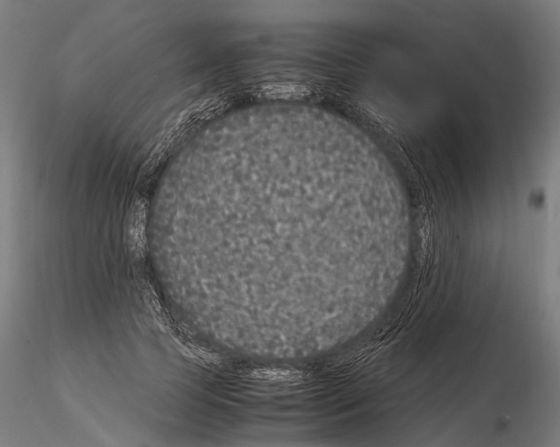 X0000115120745200912081344