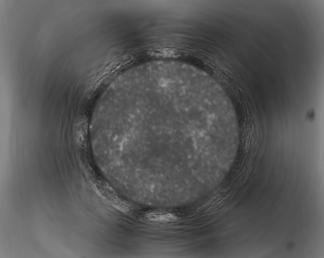 X0000115120747200912081344