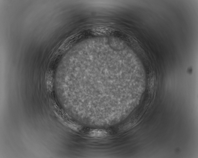 X0000115120749200912081344