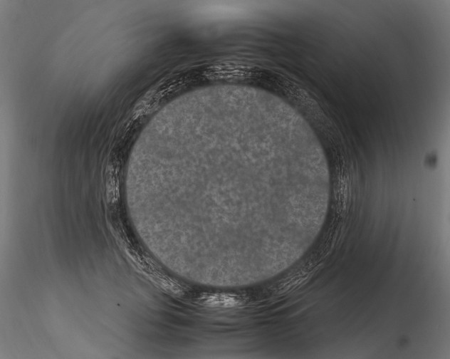 X0000115120751200912081344