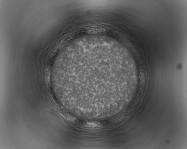 X0000115120753200912081344