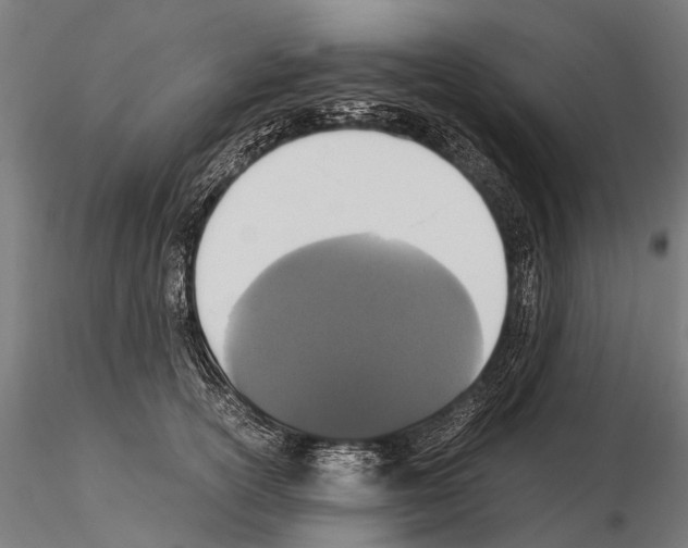 X0000115120754200912081344