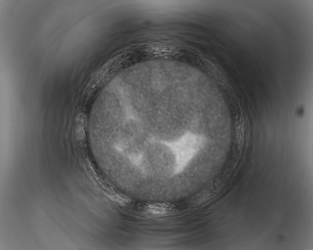 X0000115120757200912081344