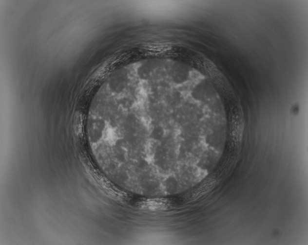 X0000115120758200912081344