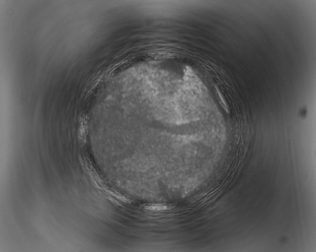 X0000115120759200912081344