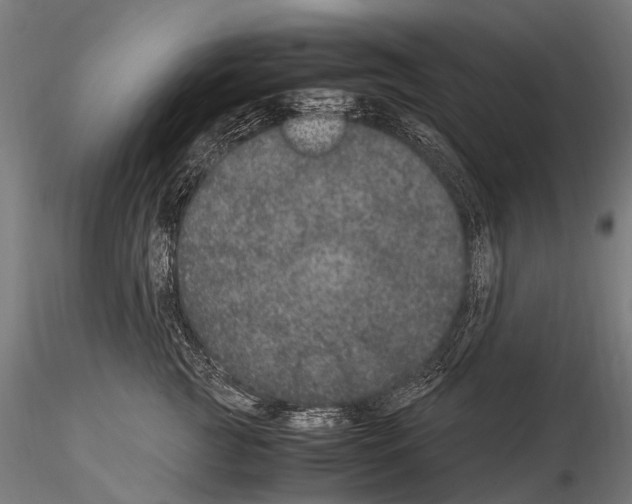 X0000115120761200912081344