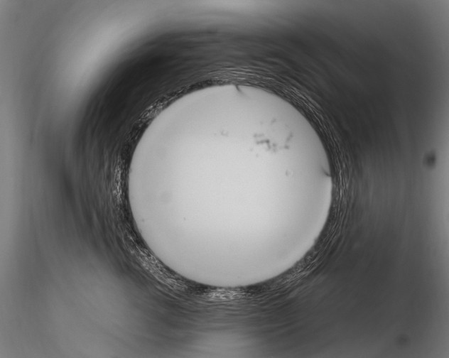 X0000115120762200912081344