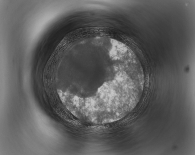 X0000115120763200912081344