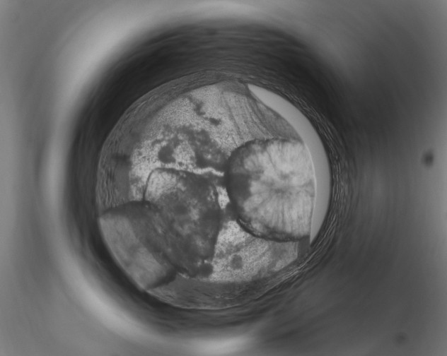 X0000115120765200912081344