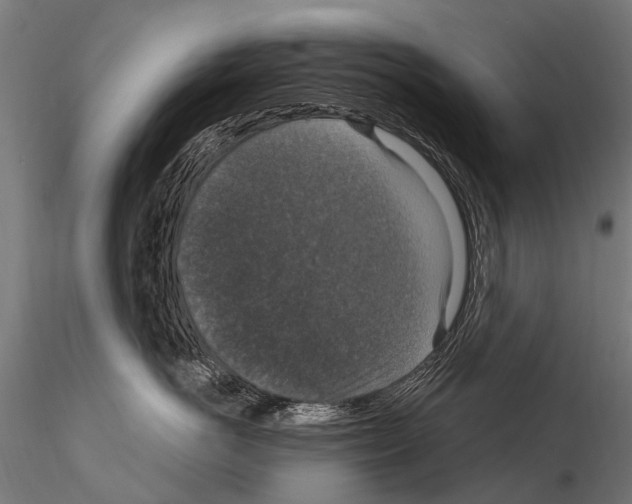 X0000115120766200912081344