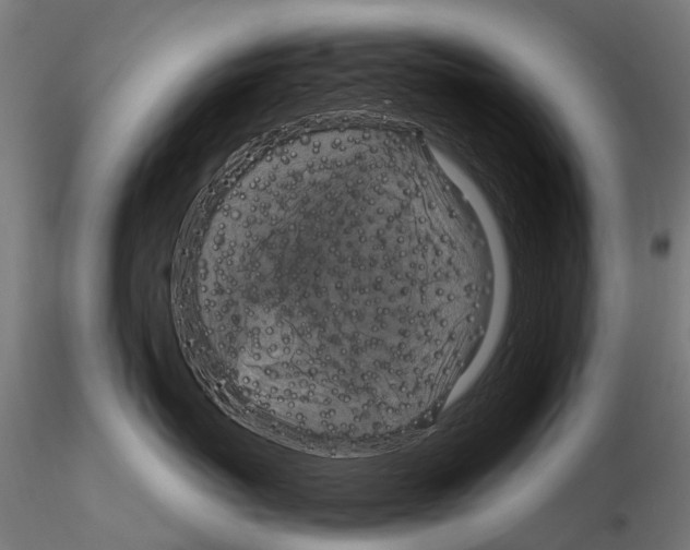 X0000115120767200912081344