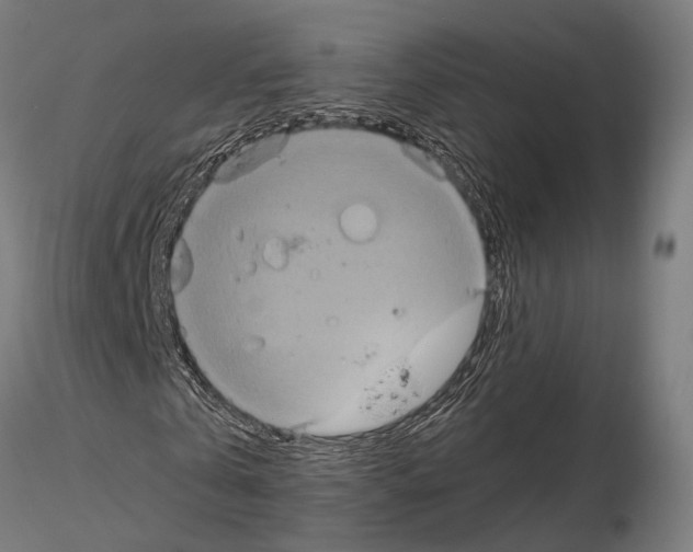 X0000115120769200912081343