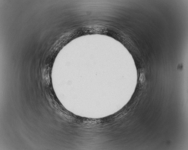 X0000115120771200912081343