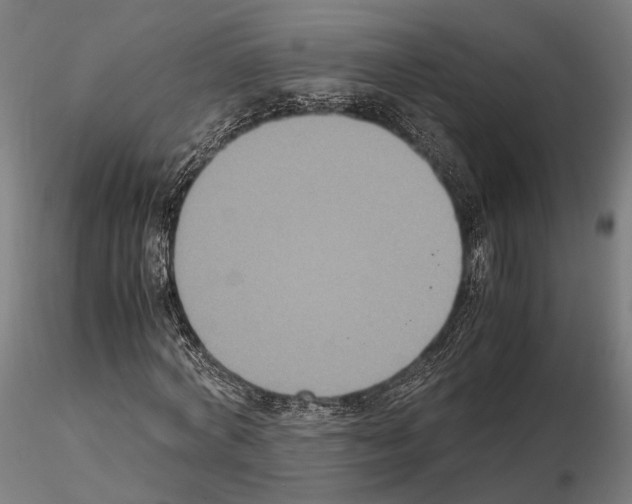 X0000115120772200912081343