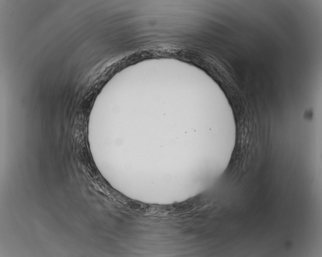 X0000115120773200912081343