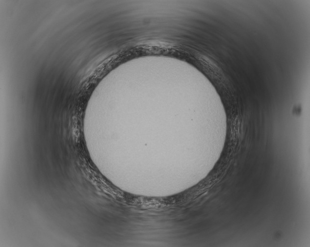 X0000115120774200912081343