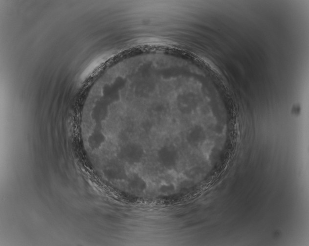 X0000115120775200912081343