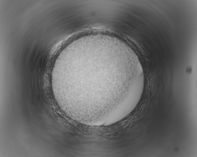 X0000115120776200912081343