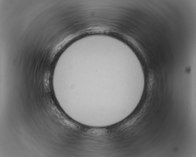 X0000115120778200912081343