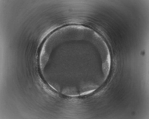 X0000115120779200912081343