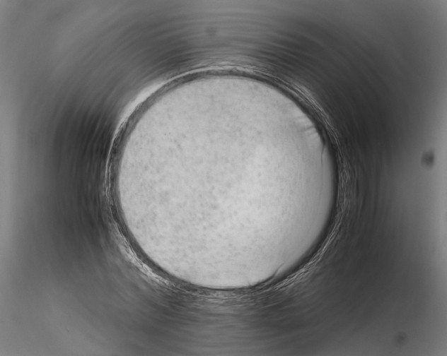 X0000115120780200912081343