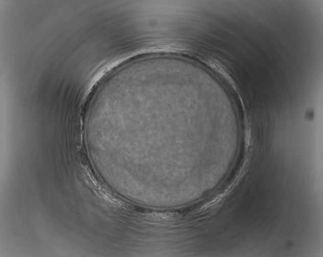 X0000115120781200912081343