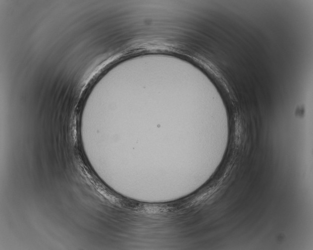 X0000115120782200912081343