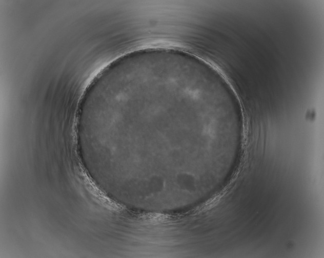 X0000115120783200912081343