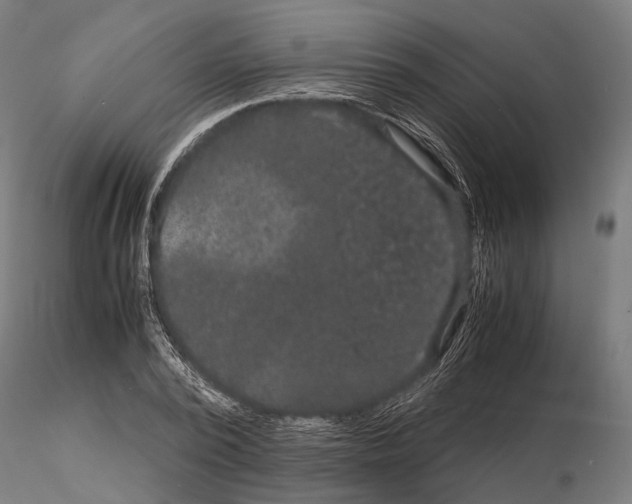 X0000115120784200912081343