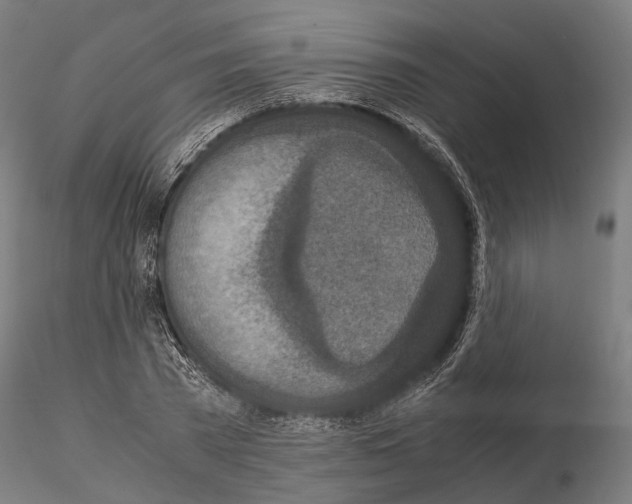 X0000115120785200912081343