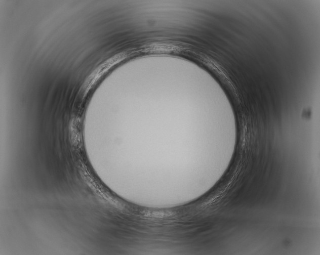 X0000115120786200912081343