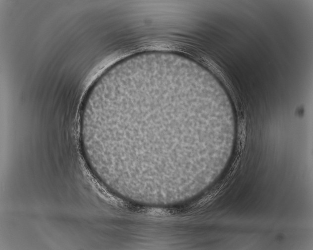 X0000115120787200912081343