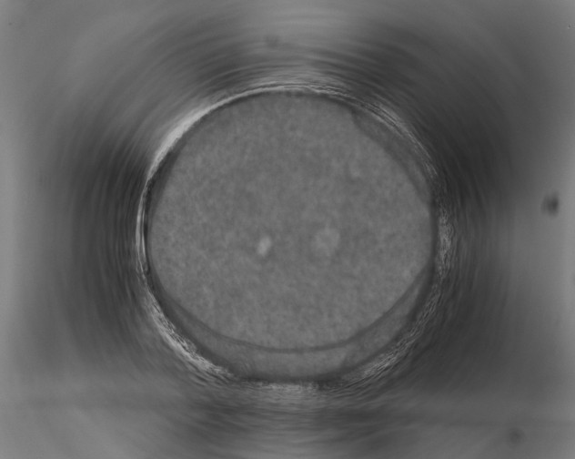 X0000115120788200912081343