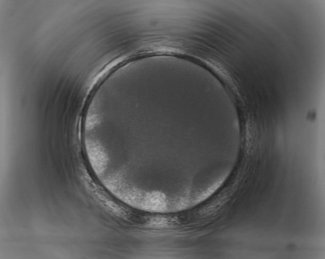 X0000115120790200912081343