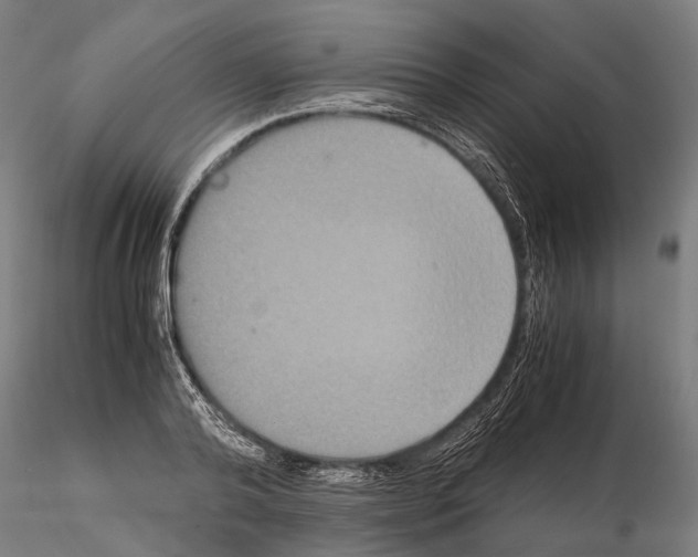 X0000115120792200912081343