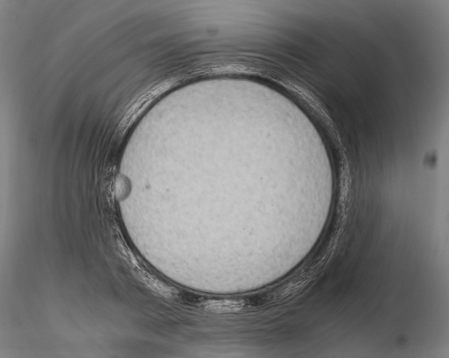 X0000115120793200912081343