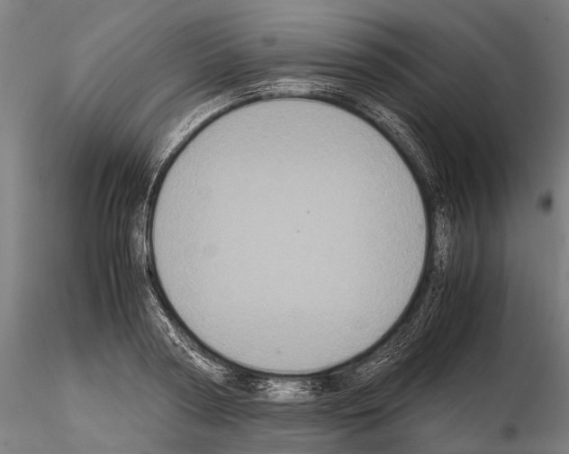 X0000115120794200912081343