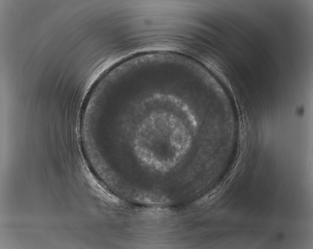 X0000115120797200912081343