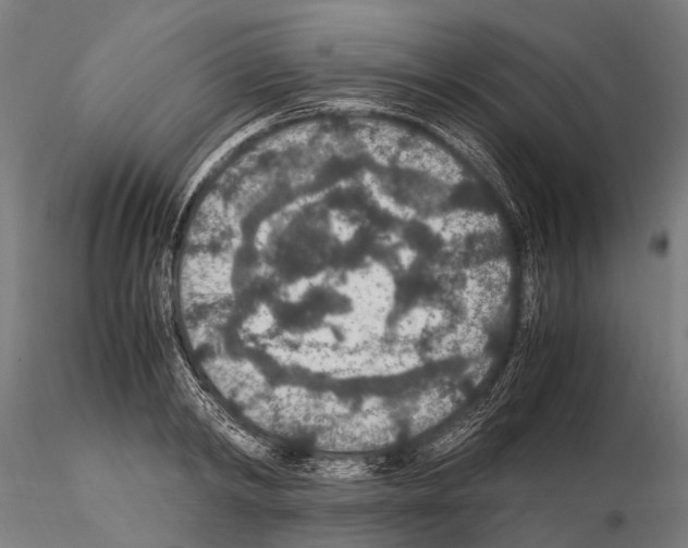 X0000115120798200912081343